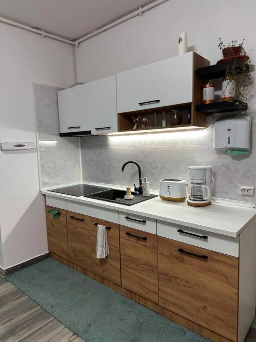 Zion Home Sibiu Bagian luar foto