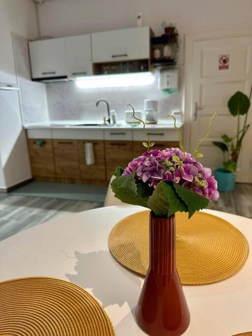 Zion Home Sibiu Bagian luar foto
