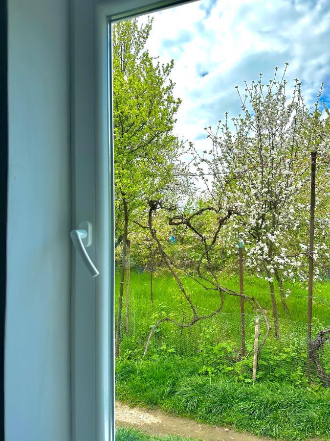 Zion Home Sibiu Bagian luar foto